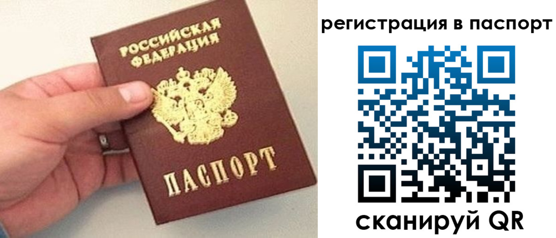 прописка законно в Киселёвске
